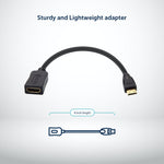 Load image into Gallery viewer, Female HDMI to mini HDMI - Desklab Monitor
